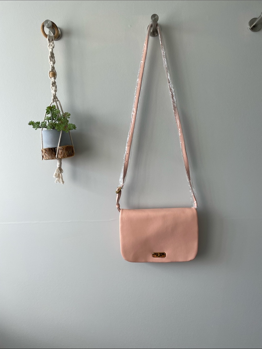NWT J. Crew Blush Pink Leather Crossbody Bag with Gold Hardware